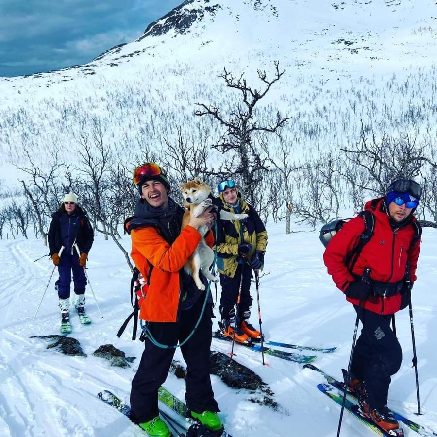 Senja Arctic Lodge Stonglandseidet Экстерьер фото